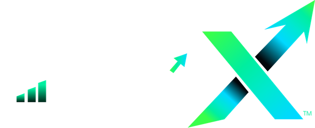 369X logo with white wordmark